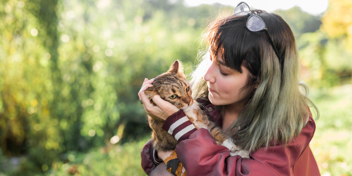 Erkennen Katzen einen wieder? Studien und Tipps zur Stärkung eurer Bindung