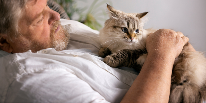Krankheiten Von Katzen Auf Menschen